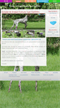 Mobile Screenshot of elevage-chiot-braque-francais.com